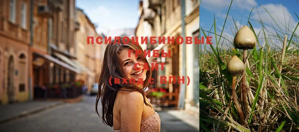 ECSTASY Волоколамск