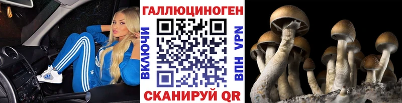 Галлюциногенные грибы прущие грибы  Купить где  Каргополь 