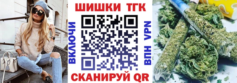 Купить закладки  Каргополь  Шишки марихуана SATIVA & INDICA 